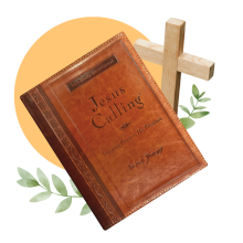 dailydevo